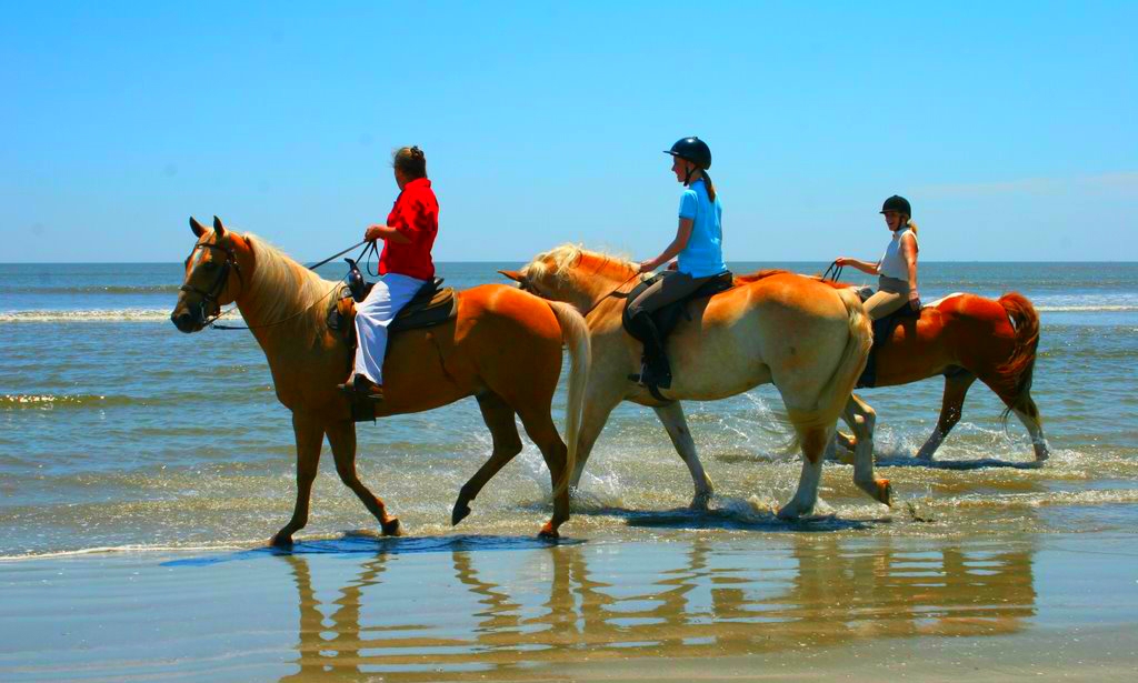 Horse riding by halkidiki's beaches