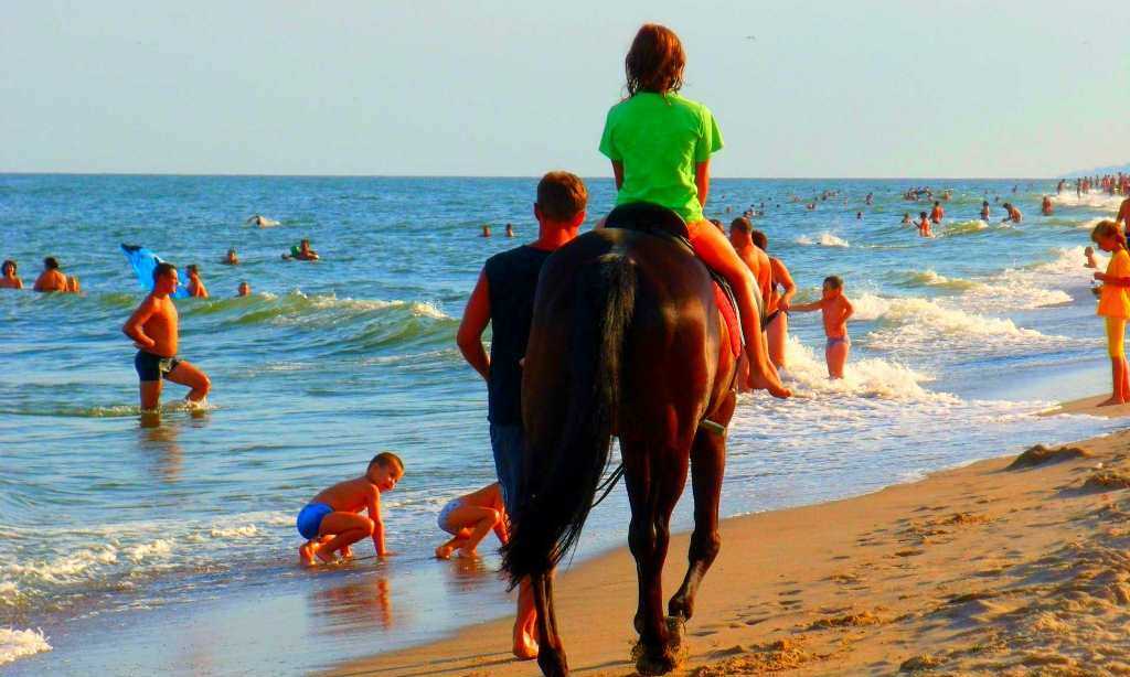 Horse riding by halkidiki's beaches